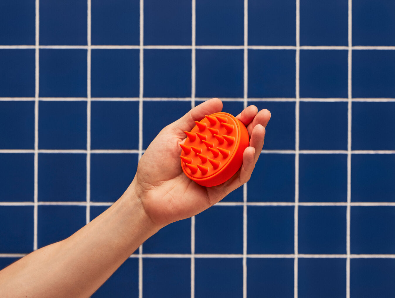 Scalp Brush